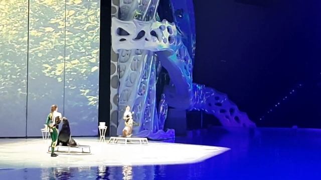 23 февраля 2024 г.