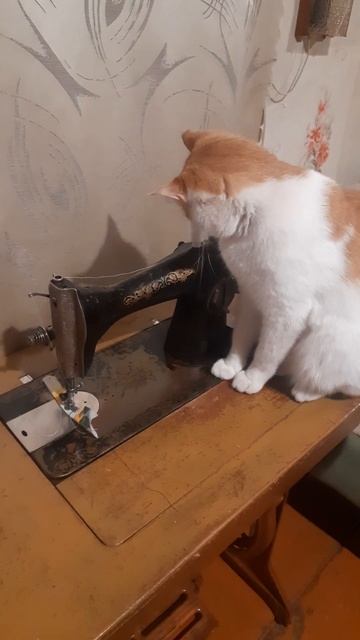 Ecb0a276815685480c854daae0e1a714