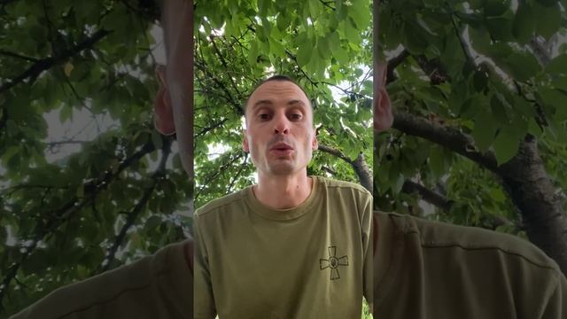 De16389a25a994ca9d7caea50a69b288