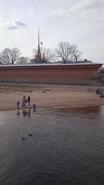 Городской пляж у крепостной стены|#санктпетербург #пл?