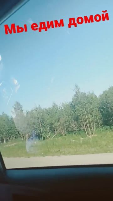 мы едем домой 🏘 #дом #чудо #чайник