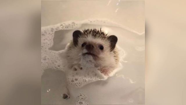 Алло - Егор Крид | Speed Up