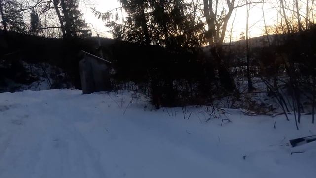Шешори.Олень,лайка Дон,дворняжка Барон...Наша Прогулянка!
