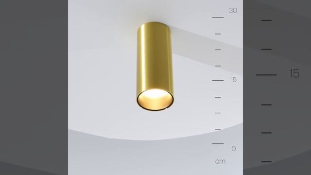 Накладной светильник Maytoni FOCUS LED C056CL-L12W3K-W-BS