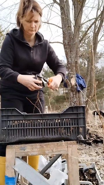 Aabc9f4c2ccc9bc7b8dd5c937f7ecc89