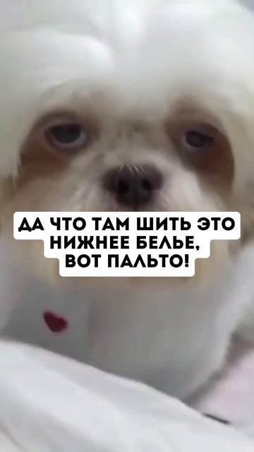 Что отвечаем? #нижнеебелье #пошив #мем #юмор #кружево #и?