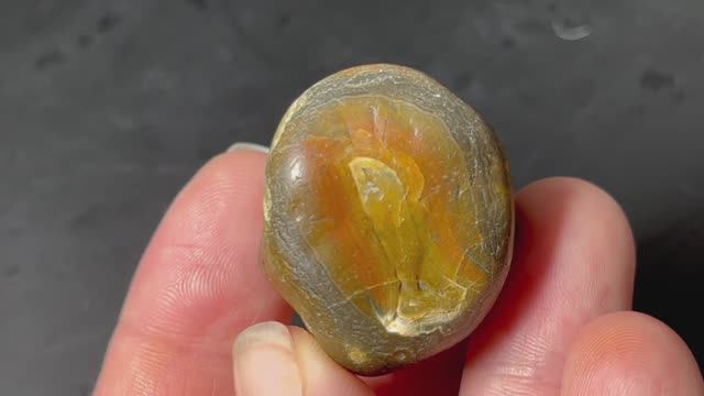 73fe692a63a86b67e55fc8ed35006e84