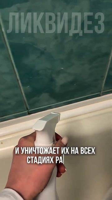 WB - Ww111468 #тараканы#насекмые#чистота#дезенфекция#тараканыдома#тараканывквартире