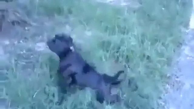 De903324af31175e26a7e1f5a91021c4