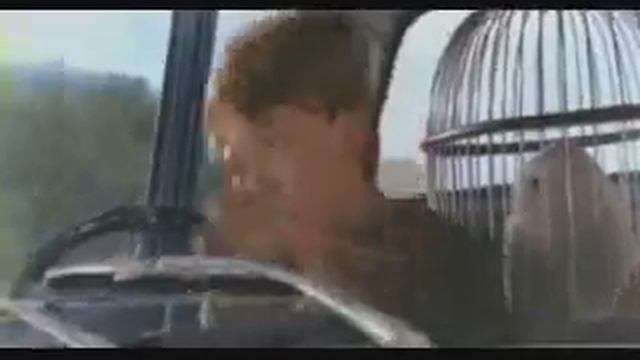 Куда идем мы с Пятачком (Поттер)