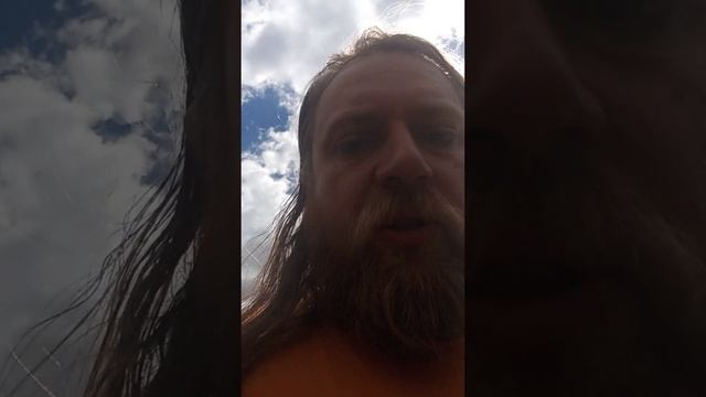 Документы в МГУ. Учимся с Алисой дальше.