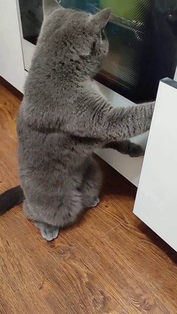 B878e9836dafd586bd5aa8e0e55390fd