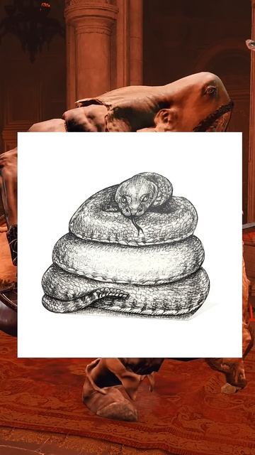 АРИСТОКРАТЫ БОЖЕСТВЕННОЙ КОЖИ #eldenring #lore #darksouls