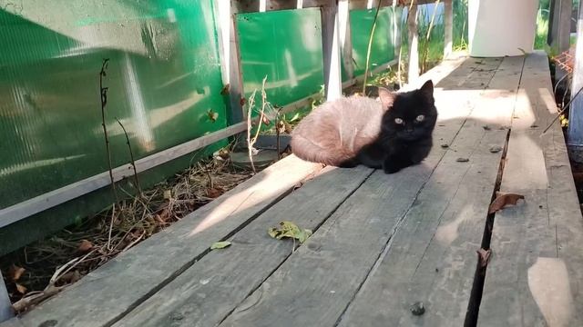 Этот ЛЕС не перестаёт нас удивлять. ЗАКРЫВАЕМ СЕЗОН.