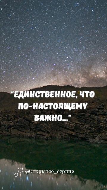 Мудрость великих книг: слова, которые пережили века.