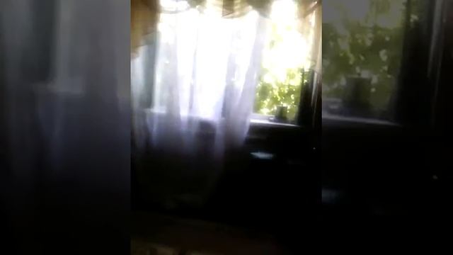 Пугаю Котэ