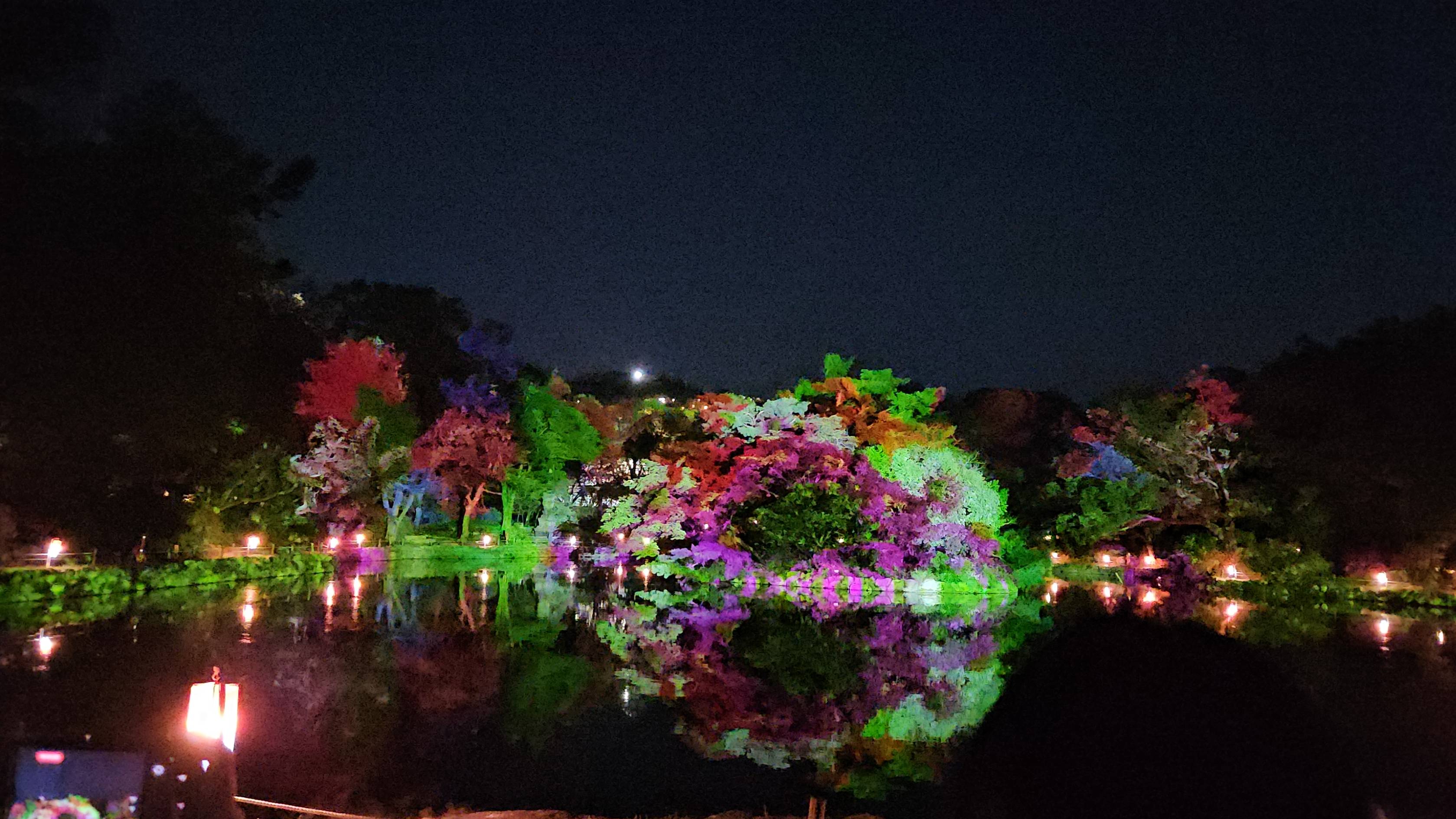 Мультимедийное шоу Moonlight Lotus Show (Лунное шоу лотосов) во дворце Чхангёнгун (창경궁 춘당지 일대)