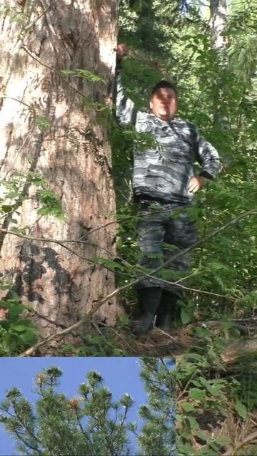 2730e822607b163970d767de39e30bb4