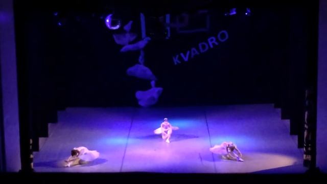 выступление шоу-балета 