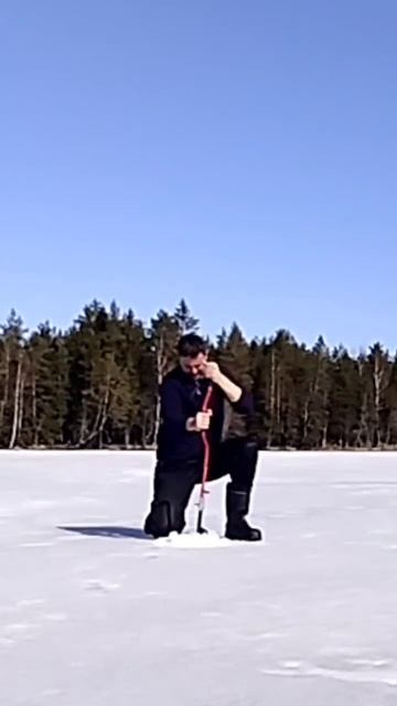 Толстый лëд #зимняя рыбалка #08.04.2023