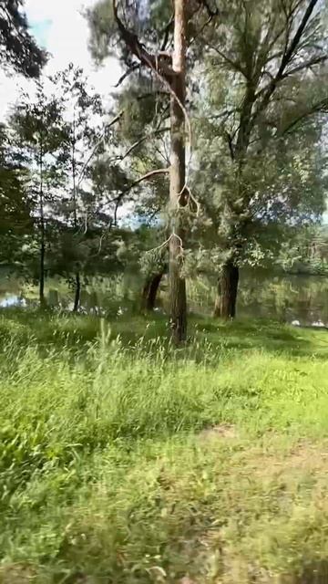 МОЯ ТРЕНИРОВКА В КРАТОВО, РЫБАЛКА, ОТДЫХ - КАЙФ! Меленч?