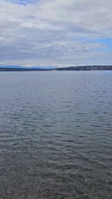#рибалка #fishing #сша #спиннинг #usa