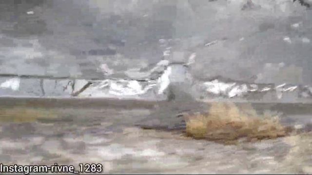 На Лебединці у Рівному - мор риби