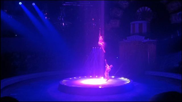 Владивостокский государственный цирк