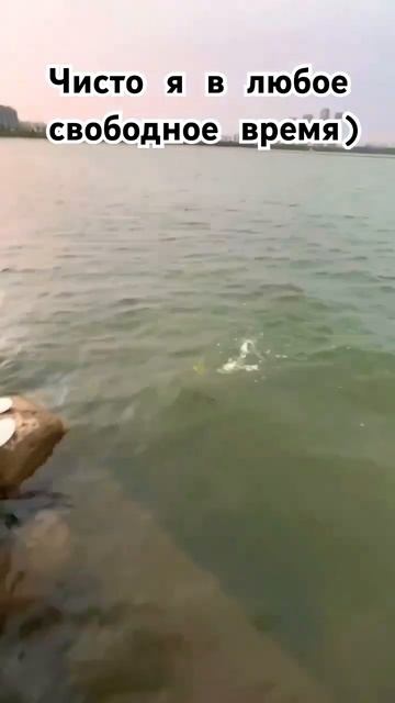 Чисто я в любое время #fishing #рибалка #карп #карась #carpfishin