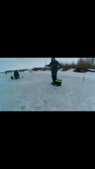 Когда клюёт и на душе радость.#клёв #зимняяловлярыбы  #?