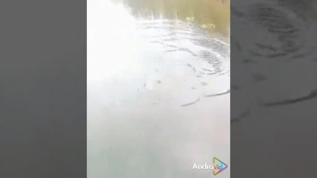 Ловля щук и окуней с лодки на спиннинг.
