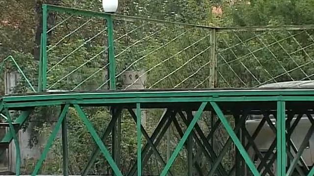 Национальный фестиваль