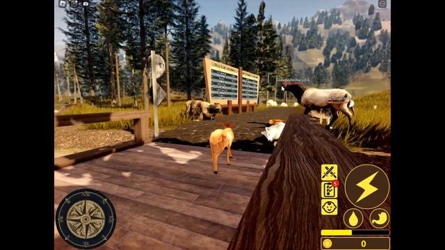 ВЫЖИВАНИЕ ЗА ЖИВОТНЫХ Yellowstone Unleashed!!!