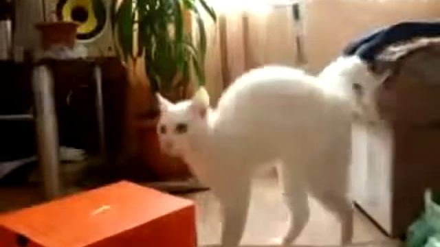 149d981687d79699546c1f6b00024f92