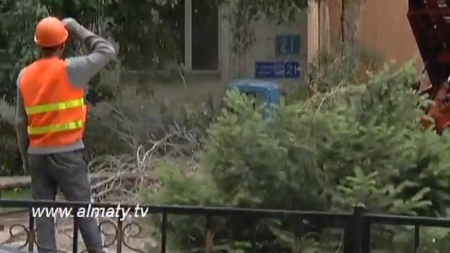 Распил продолжается