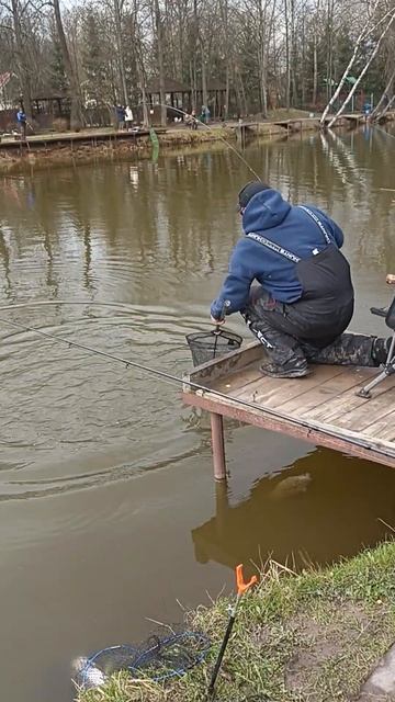 Bf7f6fe1b1fa3a03cb8a56f06a0da208