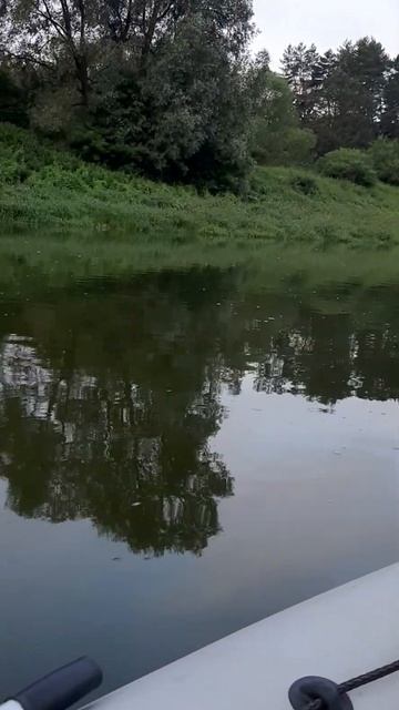 Утренняя Ока в Калужской области #shorts