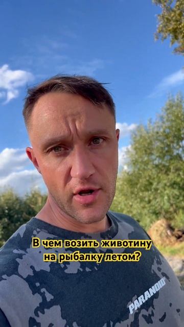 Рыбалка на фидер. В чем хранить животинку летом?