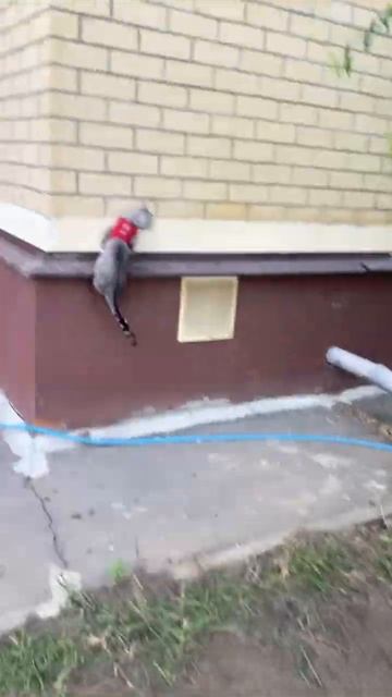 Если с другом вышел в путь, веселей дааааарооогааааа! #