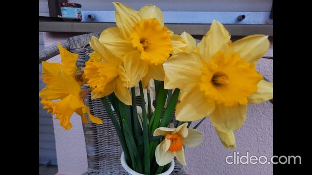 След в след. Песня. Гитара +