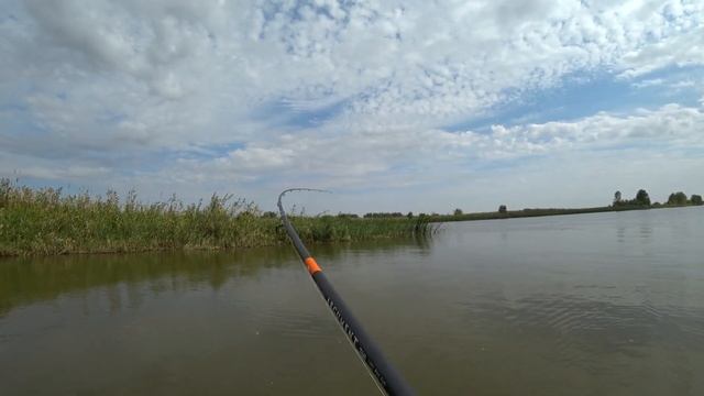 КАК ТАКОЕ ВОЗМОЖНО? НАШЛИ МЕСТО ГДЕ РЫБА КИШИТ и клюет