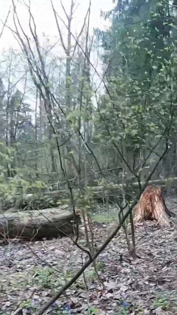 1b9168009340972b32d7f93f8b964b56