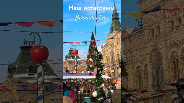 Любимая Москва #любовь #канадскийсфинкс #новыйгод #померанскийщпиц #шпиц #москва#краснаяплощадь