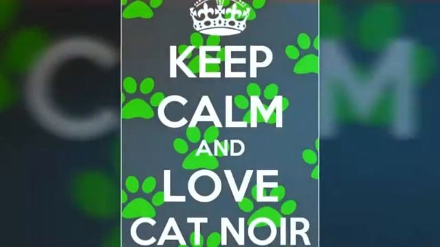 ЛедиБаг и Кот Нуар картиночки