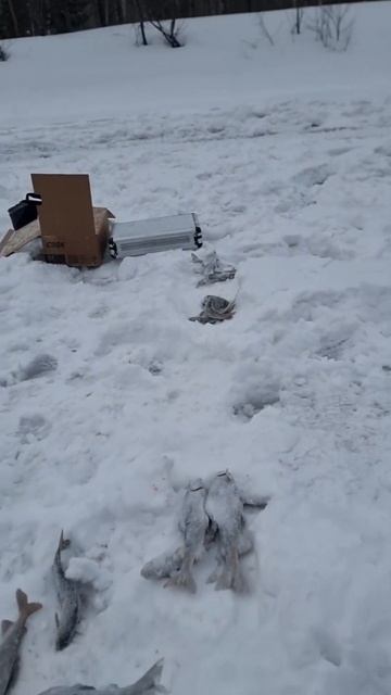 84090b25f0ea6e83f7c664caa00855c4