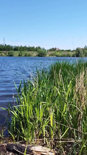 Рыбалка в верховьях Матырского водохранилища, ч. 2