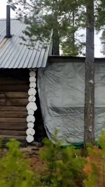 #карелия #природа #рыбалка #сегозеро #изба