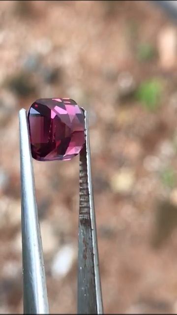 гранат 4+ct.