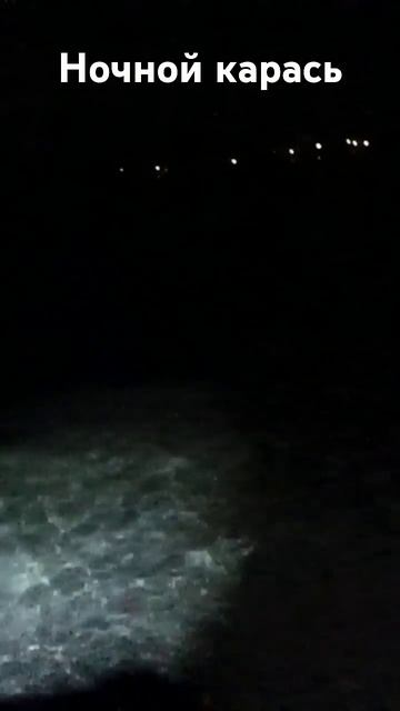 Клюнул ночной карась на озере на убийцу карася и пенот