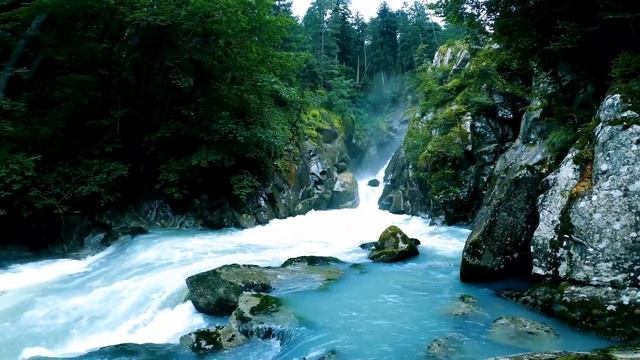 Екатерина Сайбель/Обзор.